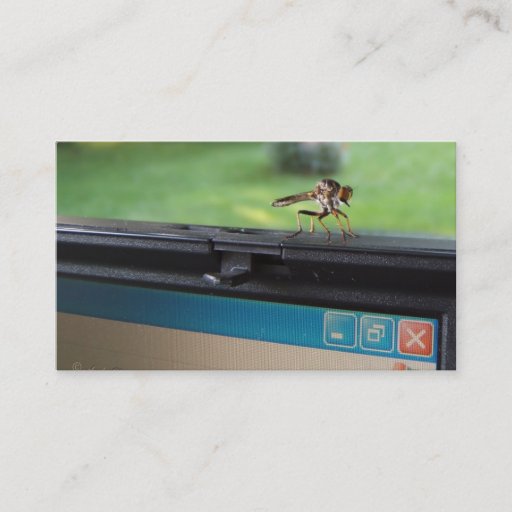 Customizable Bug on System ~ biz card Business Card