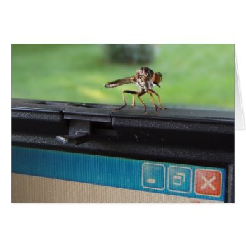 Bug On System ~ Card by Andy2302 at Zazzle