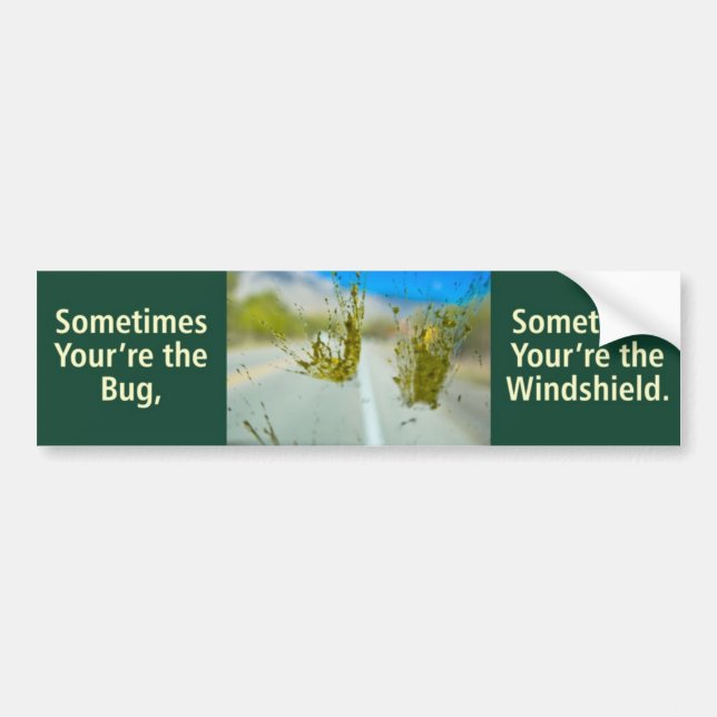 Bug vs. Windshield Bumper Sticker (Front)