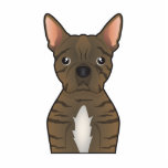 Bugg Dog Cartoon Statuette<br><div class="desc">This product features a great cartoon illustration of a Bugg Dog.</div>
