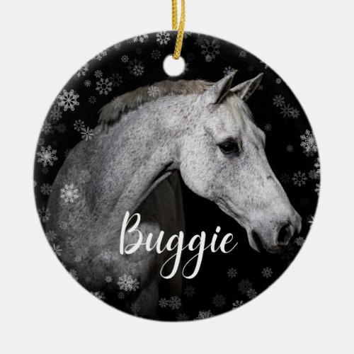 Buggie Ornament