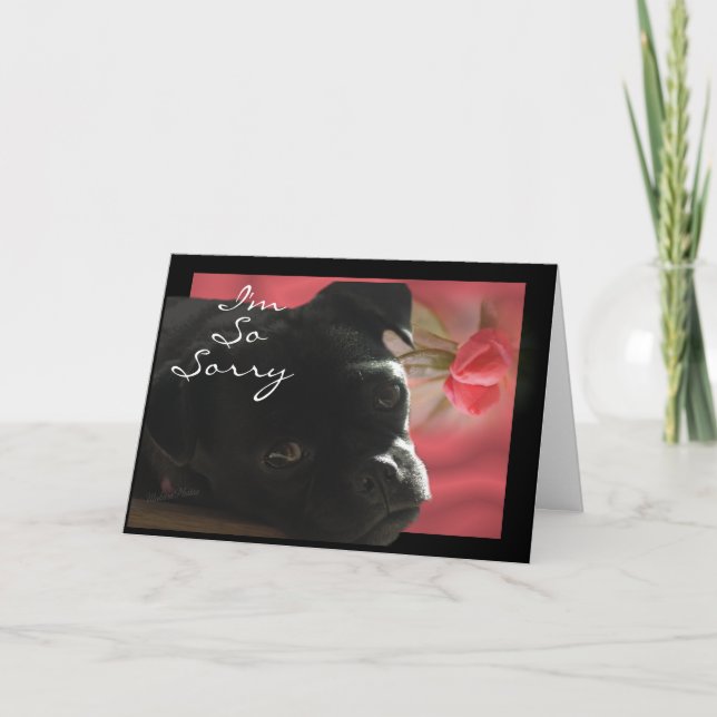 Buggs Dog Belated -- customize occasion Card (Front)