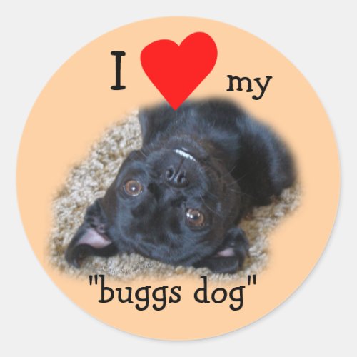 Buggs Dog Stickers_your picture or mine Classic Round Sticker
