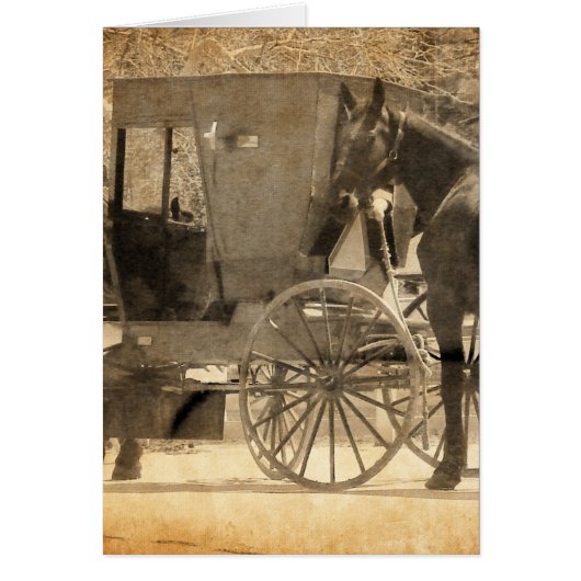 Buggy Before The Horse, Amish Bring Home New Horse Cards (Front)
