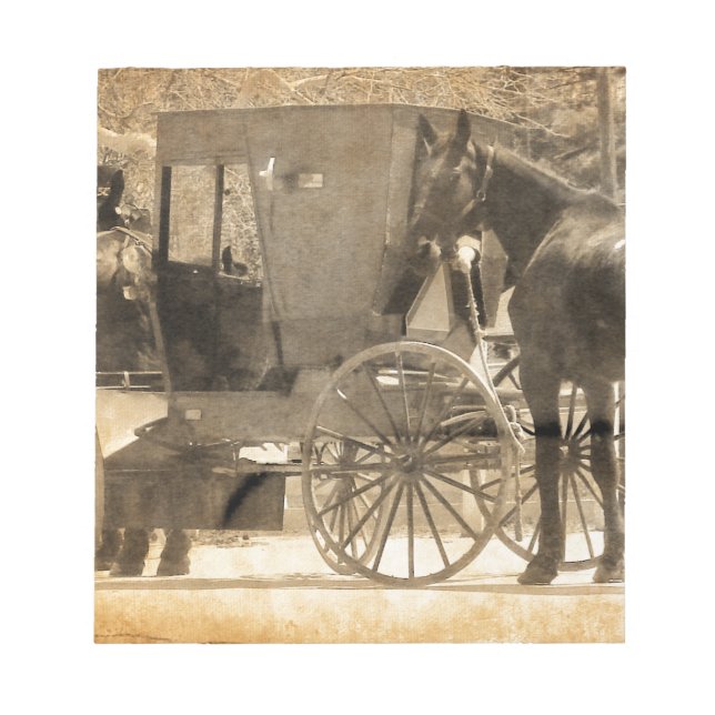 Buggy Before The Horse, Amish Bring Home New Horse Notepad (Front)
