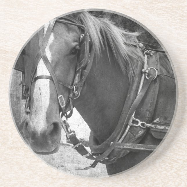 Buggy Horse at the Hitching Post Sandstone Coaster (Front)