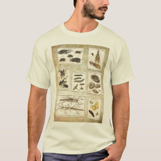 Buggy T-shirt - scientific Illustrations