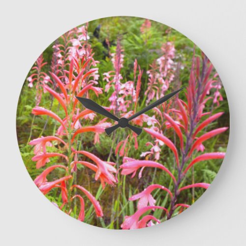 Bugle Lily Watsonia Flower Eastern Cape Large Clock