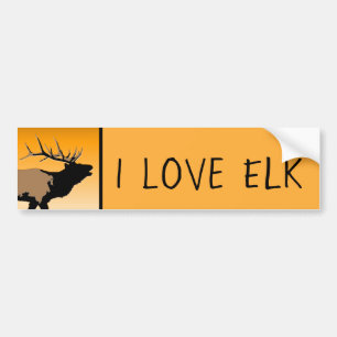 Bugling Bull Elk at Sunset Original Wildlife Art Bumper Sticker