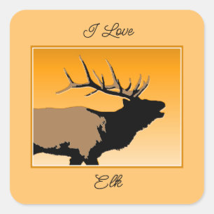 Bugling Bull Elk at Sunset Original Wildlife Art Square Sticker