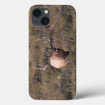 Bugling Elk