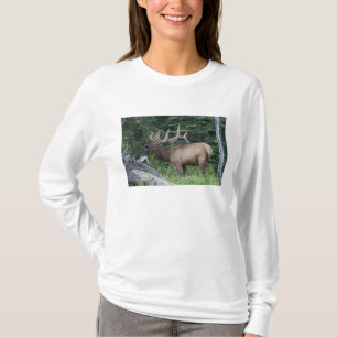 Bugling elk in Banff National Park, Canada. T-Shirt
