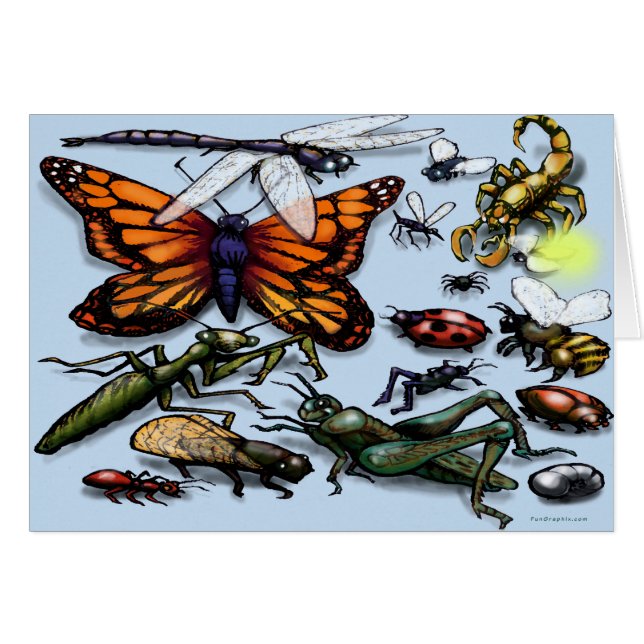 Bugs (Front Horizontal)