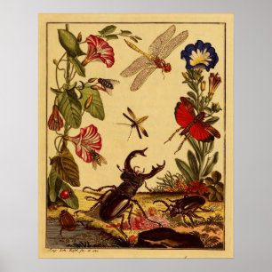 Bugs 1764 poster