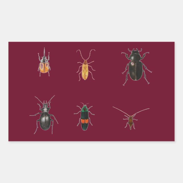 Bugs 2011 rectangular sticker (Front)
