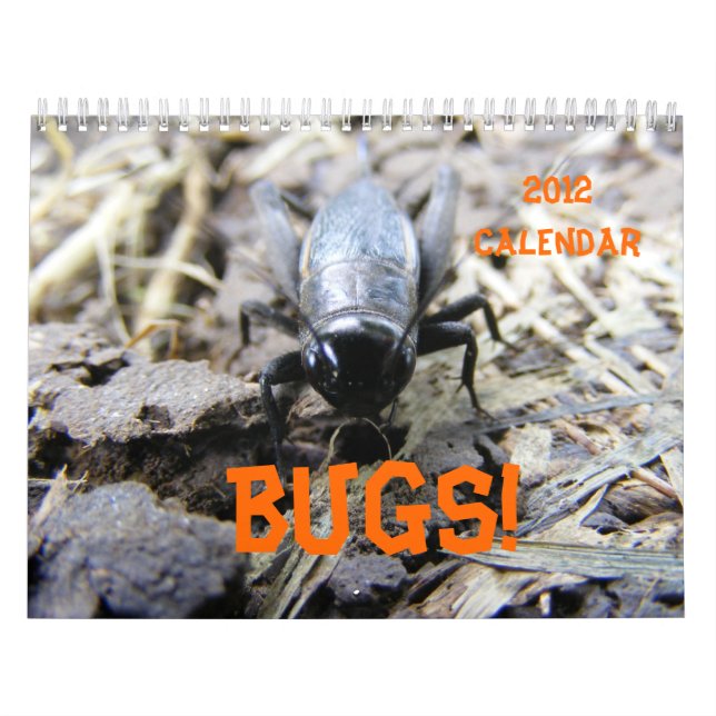 BUGS! 2012 Calendar (Cover)