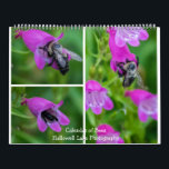 Bugs and Bees Calendar<br><div class="desc">Bugs and Bees calendar by Hallowell Lake Photography. Photos of bugs,  bees and flowers in and around Maryland. Beautiful,  colorful butterflies give your office and/or kitchen a pop of color!  Great for office,  home,  gifts or for yourself!!</div>