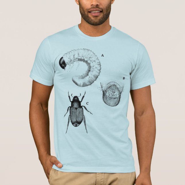 Bugs and Beetles blue semi fitted mens tshirt (Front)
