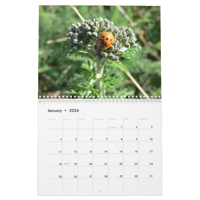 Bugs and Blossoms 2011 Calendar (Jan 2026)