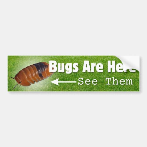Bugs Are HereIsopod Edition Bumper Sticker
