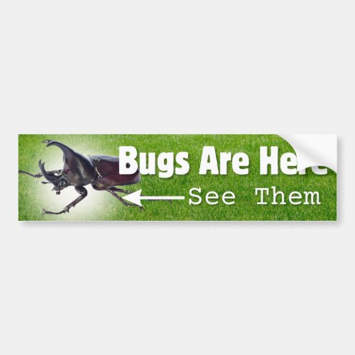 Bugs Are Here Rhino Beetle Bumper Sticker