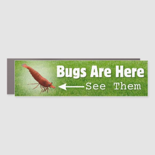 Bugs Are Here Shrimp Funny Car Magnet