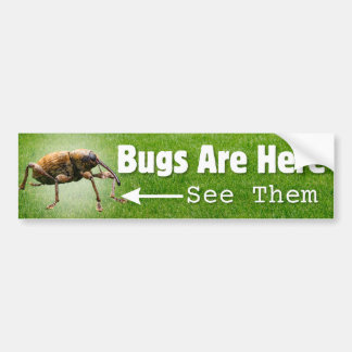 Bugs Are Here... Weevil Edition Bumper Sticker