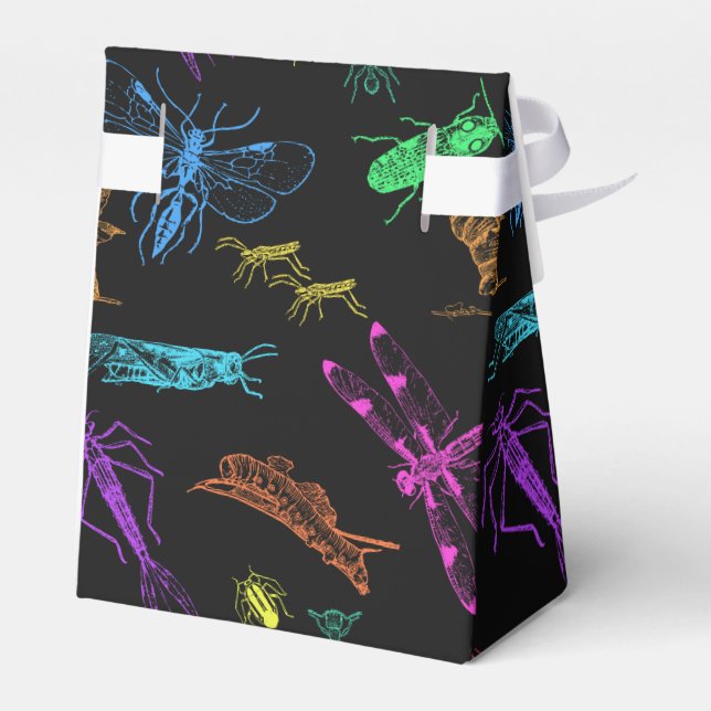 Bugs! Bugs! Bugs! Favor Boxes (Back Side)