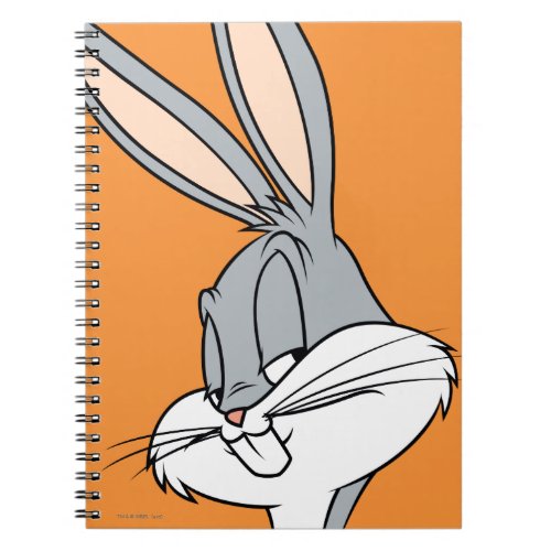 BUGS BUNNY Sideways Glance Notebook