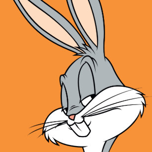 bugs bunny gifts on