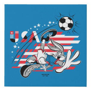 BUGS BUNNY™ Team USA Soccer Graphic Faux Canvas Print