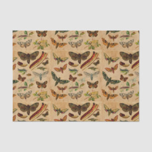 Bugs & Butterflies Vintage Stained Paper Pattern