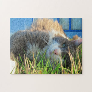 Bug's eye view by djoneill jigsaw puzzle