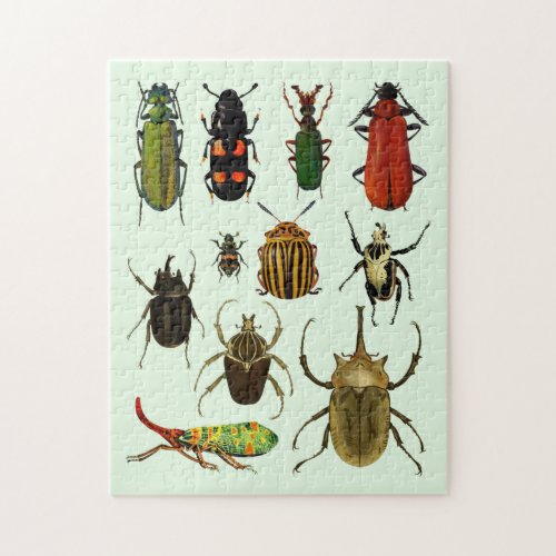 Bugs Insects Beetles Entomology wildlife Art Jigsaw Puzzle