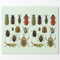 Bug Lover Insect Pattern All Occassion Wrapping Paper Sheets