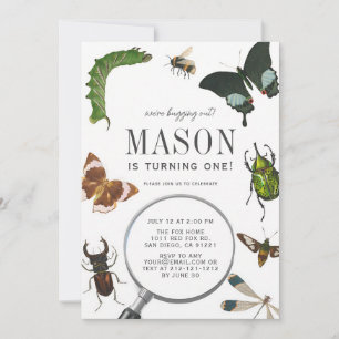 Bugs & Insects Vintage Boy 1st Birthday Invitation