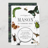 Bugs & Insects Vintage Boy 1st Birthday