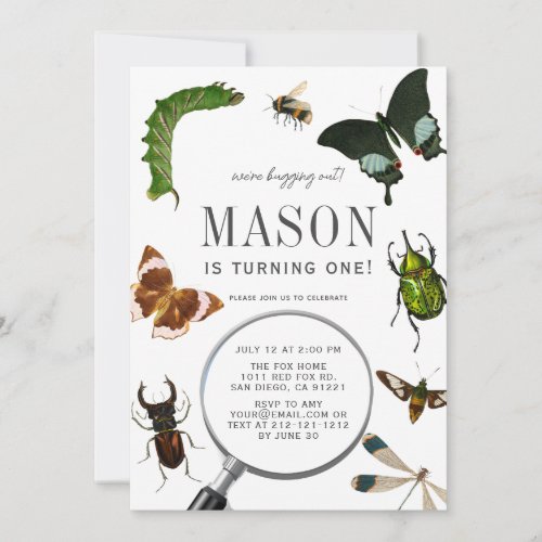 Bugs  Insects Vintage Boy 1st Birthday Invitation