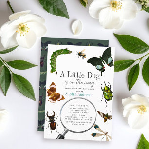 Bugs & Insects Vintage Boy Baby Shower Invitation