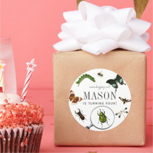 Bugs & Insects Vintage Boy Birthday Classic Round Sticker