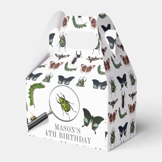 Bugs & Insects Vintage Boy Birthday White Favor Boxes (Front Side)