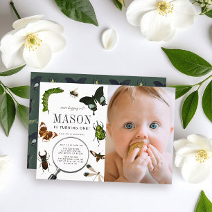 Bugs & Insects Vintage Boy Photo 1st Birthday Invitation