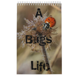 bugs life calendar
