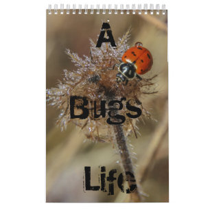 bugs life calendar