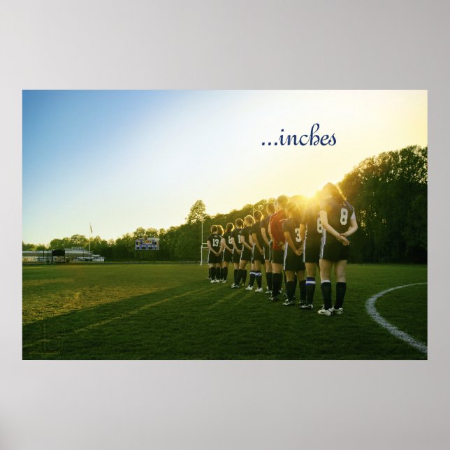 ...bugs poster (Front)