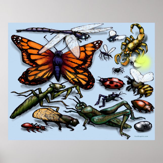 Bugs Poster (Front)