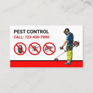 Bugs Removal Professional Pest Control Service Business Card