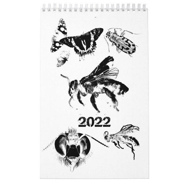 Bugs World - Insects - 2022 Calendar (Cover)