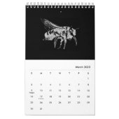 Bugs World - Insects - 2022 Calendar (Mar 2025)