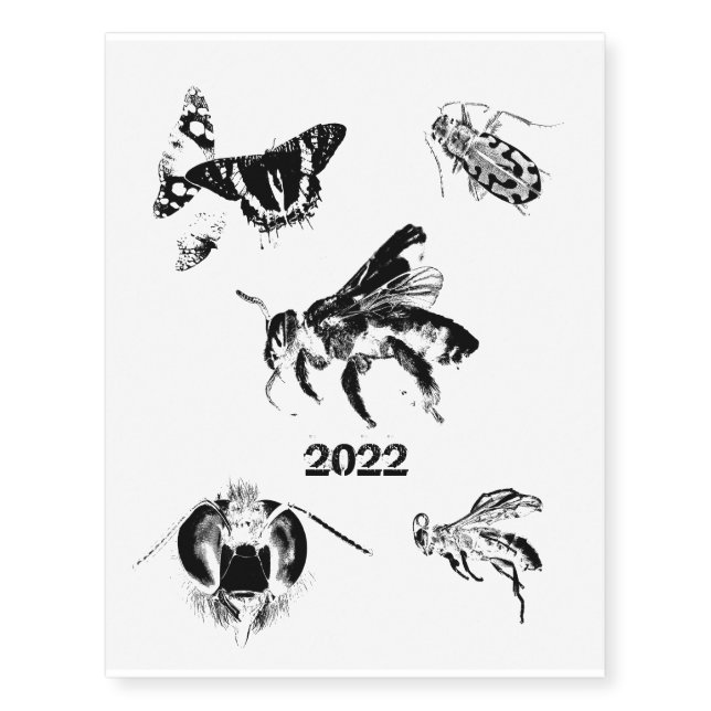 Bugs World - Insects - 2022 Temporary Tattoos (Front)